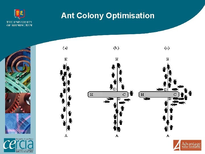 Ant Colony Optimisation 
