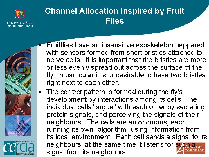 Channel Allocation Inspired by Fruit Flies § Fruitflies have an insensitive exoskeleton peppered with