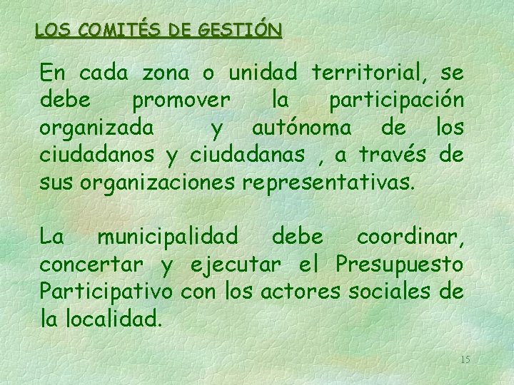 LOS COMITÉS DE GESTIÓN En cada zona o unidad territorial, se debe promover la