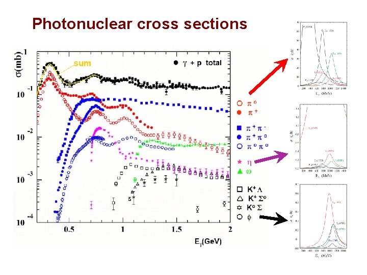 Photonuclear cross sections 