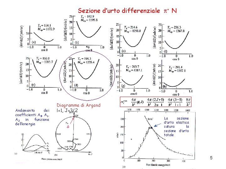 Sezione d’urto differenziale + N Andamento dei coefficienti A 0, A 1, A 2