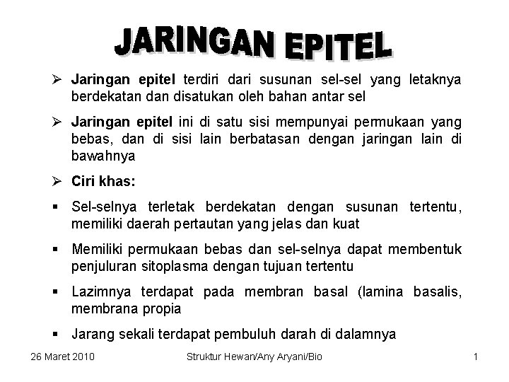 Ø Jaringan epitel terdiri dari susunan sel-sel yang letaknya berdekatan disatukan oleh bahan antar