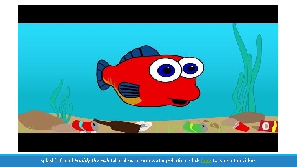 Splash’s friend Freddy the Fish talks about storm water pollution. Click here to watch