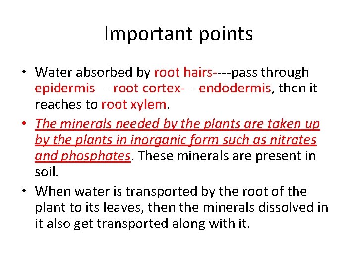 Important points • Water absorbed by root hairs----pass through epidermis----root cortex----endodermis, then it reaches Important points • Water absorbed by root hairs----pass through epidermis----root cortex----endodermis, then it reaches