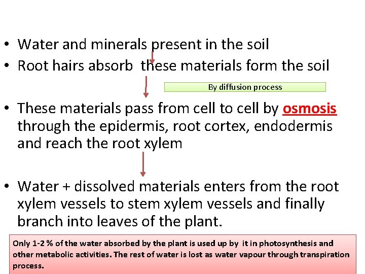 • Water and minerals present in the soil • Root hairs absorb these • Water and minerals present in the soil • Root hairs absorb these