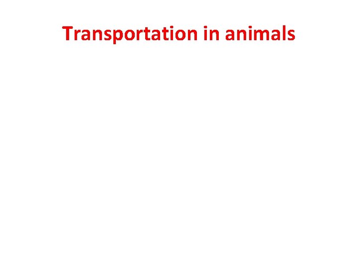 Transportation in animals Transportation in animals