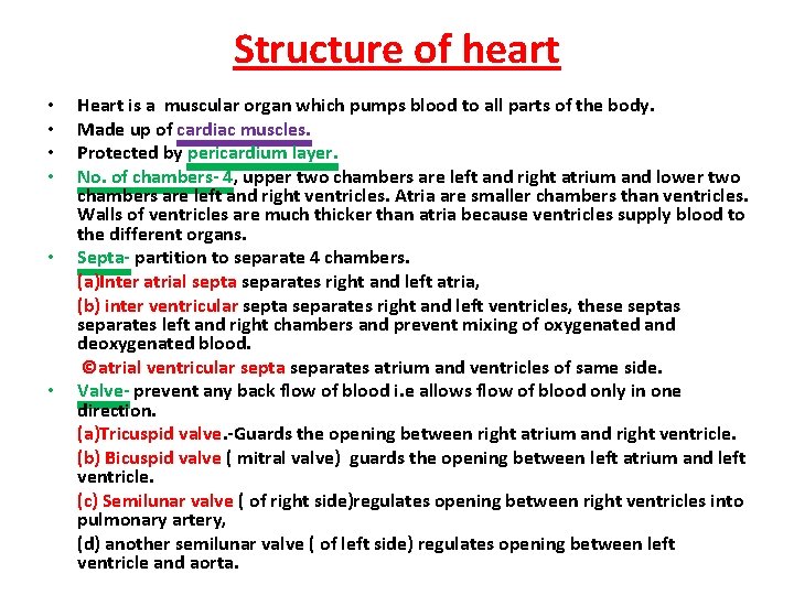 Structure of heart • • • Heart is a muscular organ which pumps blood Structure of heart • • • Heart is a muscular organ which pumps blood