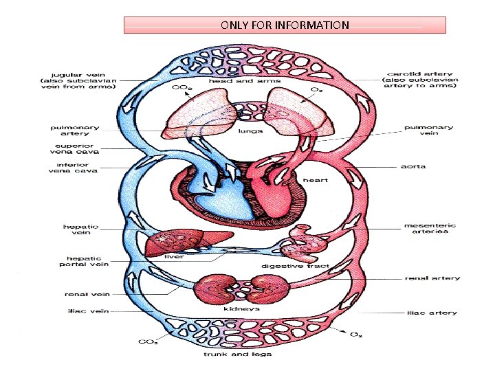 ONLY FOR INFORMATION ONLY FOR INFORMATION