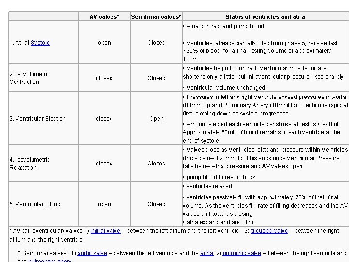AV valves* Semilunar valves† Status of ventricles and atria • Atria contract and pump AV valves* Semilunar valves† Status of ventricles and atria • Atria contract and pump