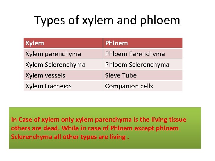 Types of xylem and phloem Xylem parenchyma Xylem Sclerenchyma Xylem vessels Phloem Parenchyma Phloem Types of xylem and phloem Xylem parenchyma Xylem Sclerenchyma Xylem vessels Phloem Parenchyma Phloem
