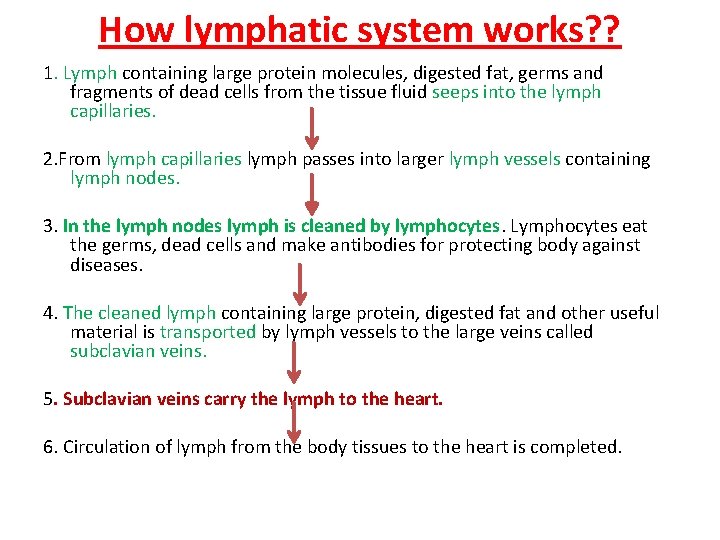 How lymphatic system works? ? 1. Lymph containing large protein molecules, digested fat, germs How lymphatic system works? ? 1. Lymph containing large protein molecules, digested fat, germs
