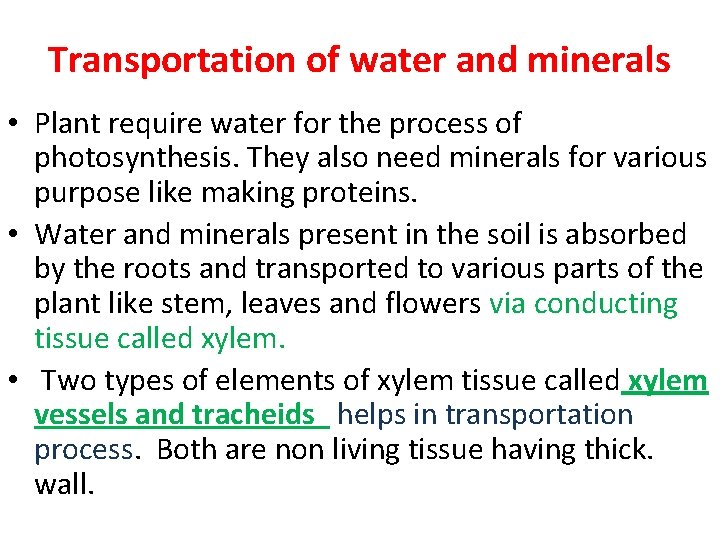 Transportation of water and minerals • Plant require water for the process of photosynthesis. Transportation of water and minerals • Plant require water for the process of photosynthesis.