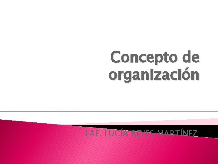 Concepto de organización LAE. LUCÍA REYES MARTÍNEZ 