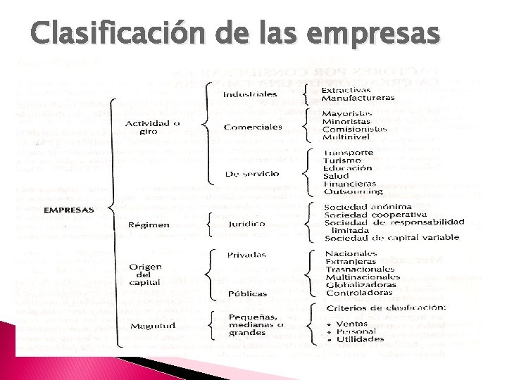 Clasificación de las empresas 