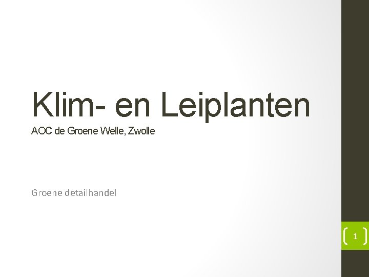 Klim- en Leiplanten AOC de Groene Welle, Zwolle Groene detailhandel 1 