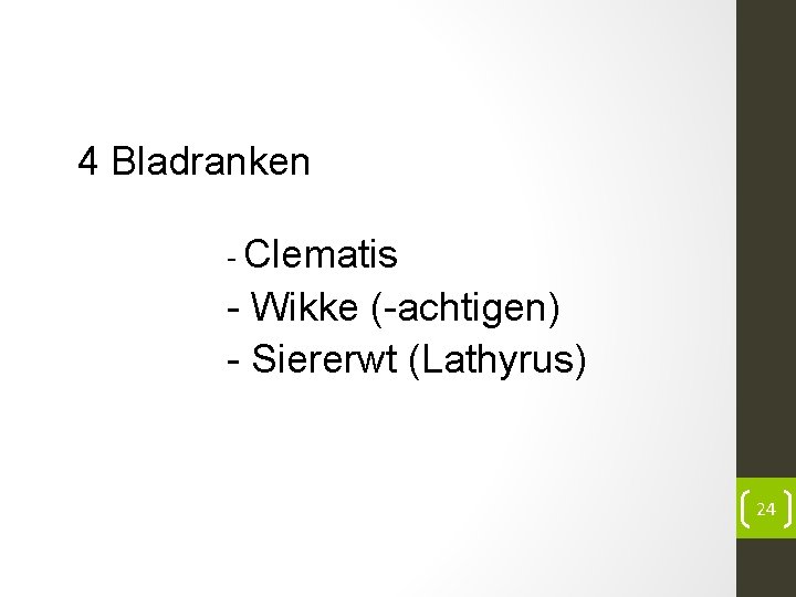 4 Bladranken - Clematis - Wikke (-achtigen) - Siererwt (Lathyrus) 24 