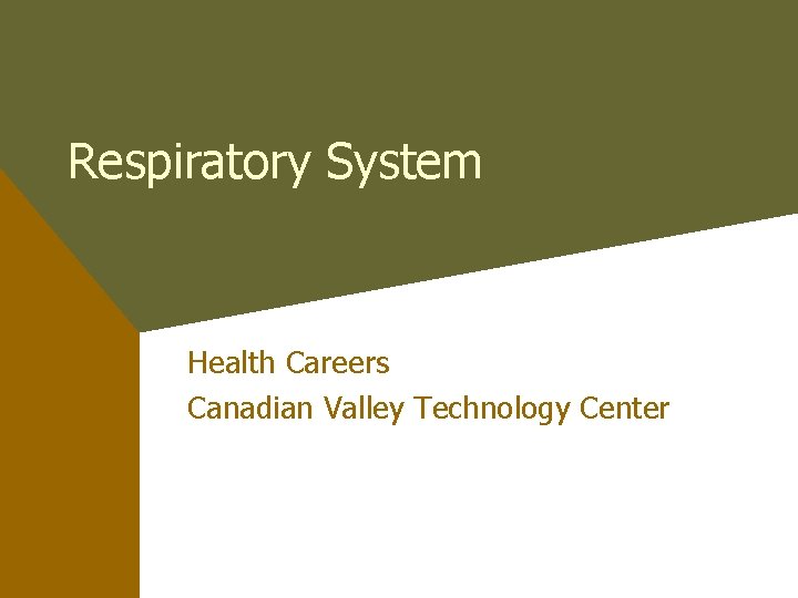 Respiratory System Health Careers Canadian Valley Technology Center 
