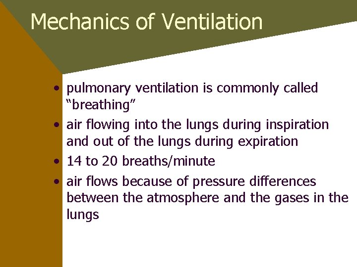 Mechanics of Ventilation • pulmonary ventilation is commonly called “breathing” • air flowing into