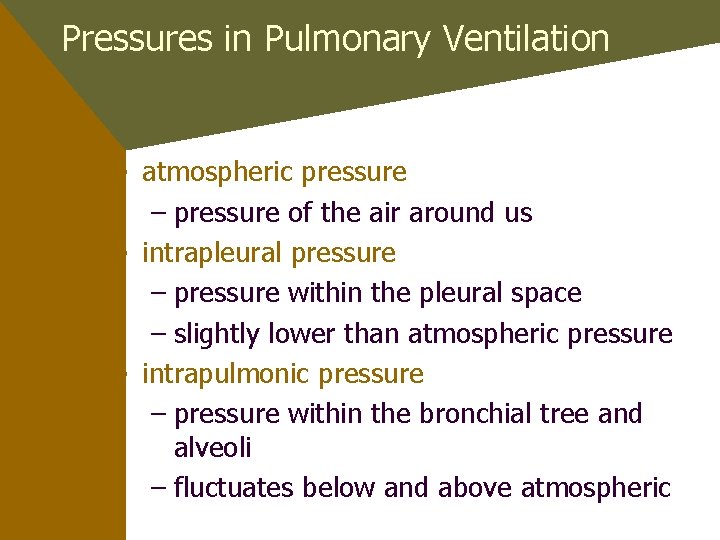 Pressures in Pulmonary Ventilation • atmospheric pressure – pressure of the air around us