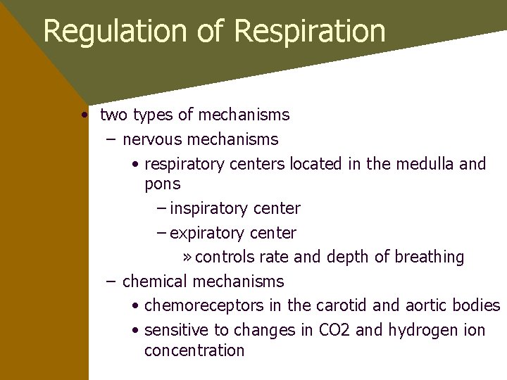 Regulation of Respiration • two types of mechanisms – nervous mechanisms • respiratory centers