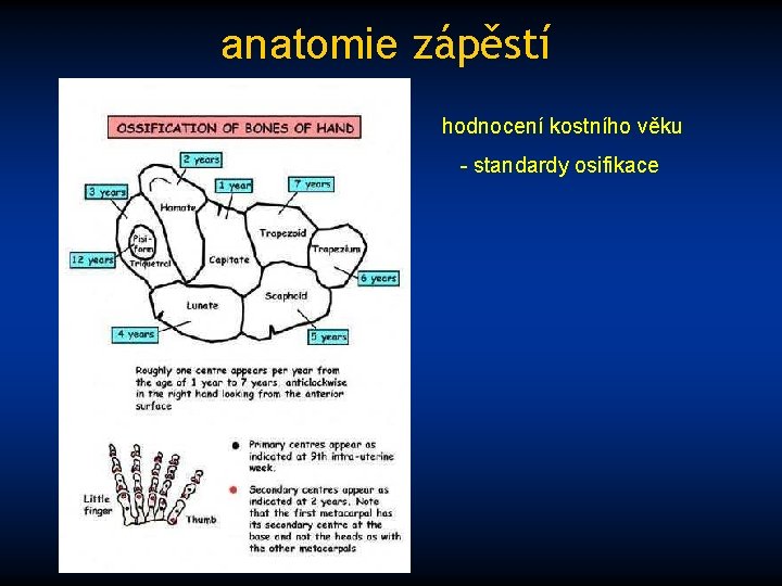 anatomie zápěstí hodnocení kostního věku - standardy osifikace 