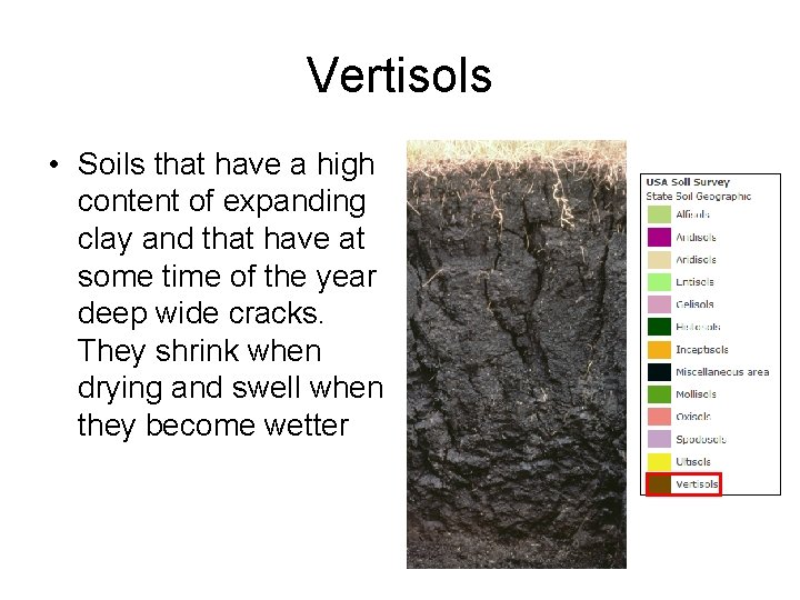 Vertisols • Soils that have a high content of expanding clay and that have