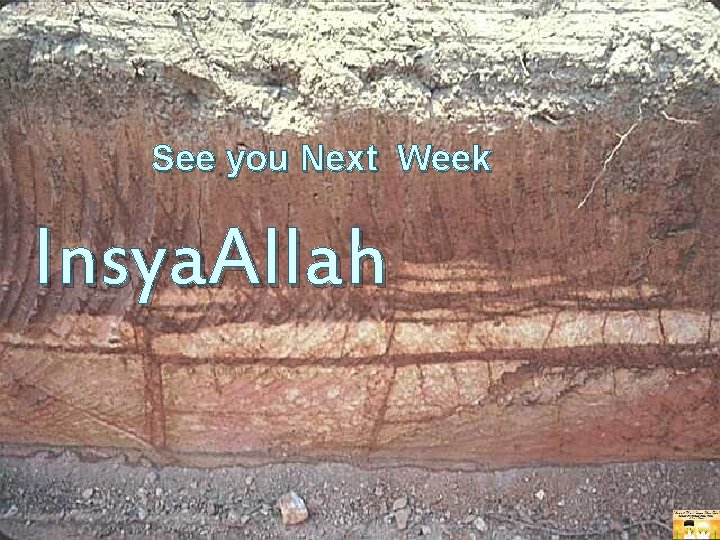 See you Next Week Insya. Allah 
