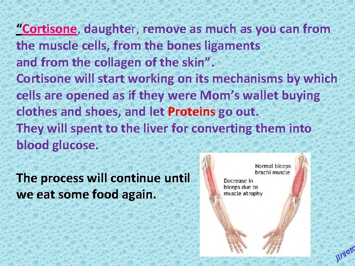 “Cortisone, daughter, remove as much as you can from the muscle cells, from the