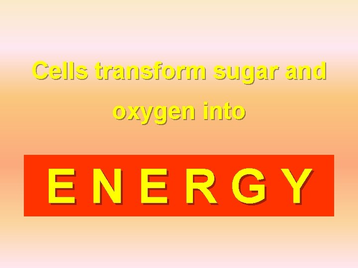 Cells transform sugar and oxygen into ENERGY 