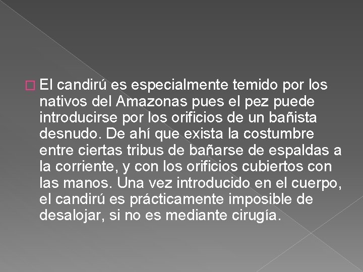 � El candirú es especialmente temido por los nativos del Amazonas pues el pez