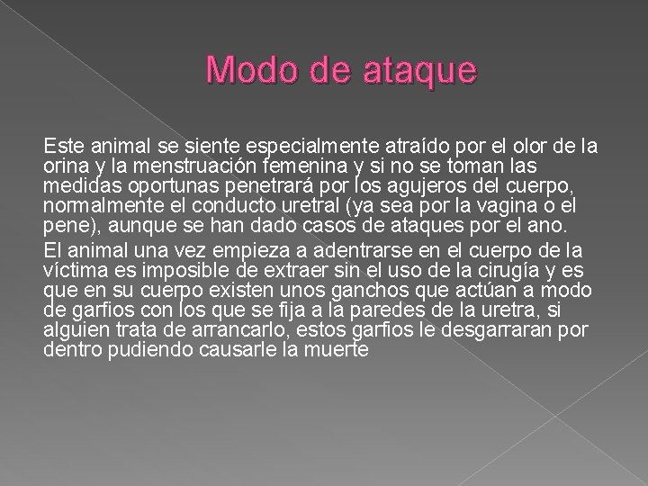 Modo de ataque Este animal se siente especialmente atraído por el olor de la