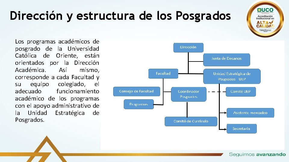 Dirección y estructura de los Posgrados Los programas académicos de posgrado de la Universidad