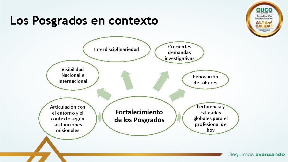 Los Posgrados en contexto Interdisciplinariedad Visibilidad Nacional e Internacional Articulación con el entorno y