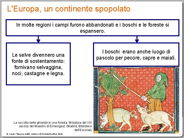 L'Europa, un continente spopolato In molte regioni i campi furono abbandonati e i boschi