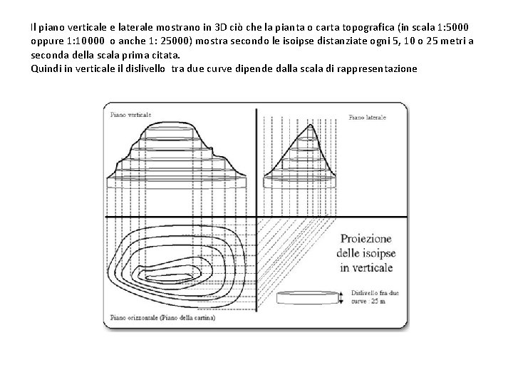 Il piano verticale e laterale mostrano in 3 D ciò che la pianta o