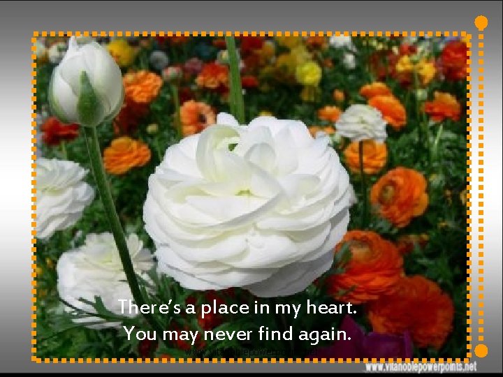 There’s a place in my heart. You may never find again. www. vitanoblepowerpoints. net