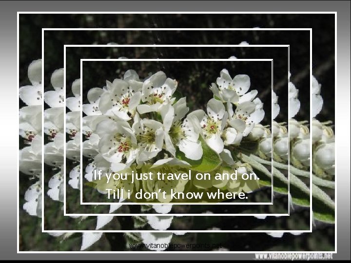 If you just travel on and on. Till i don’t know where. www. vitanoblepowerpoints.