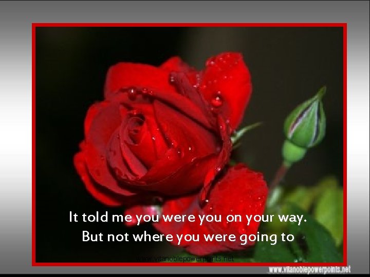 It told me you were you on your way. But not where you were