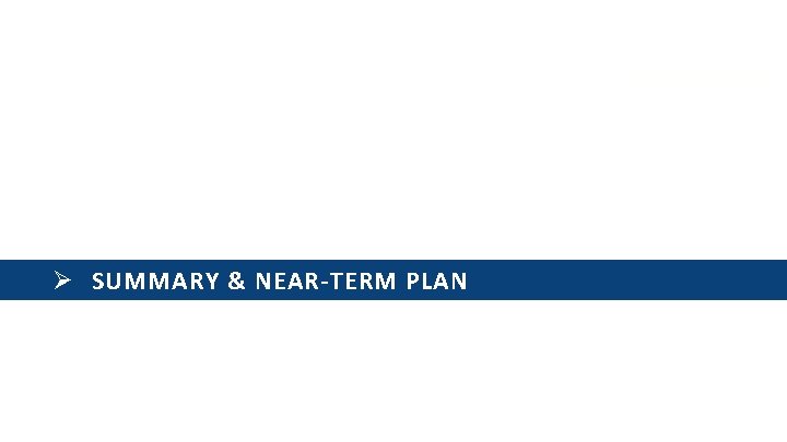 Ø SUMMARY & NEAR-TERM PLAN 