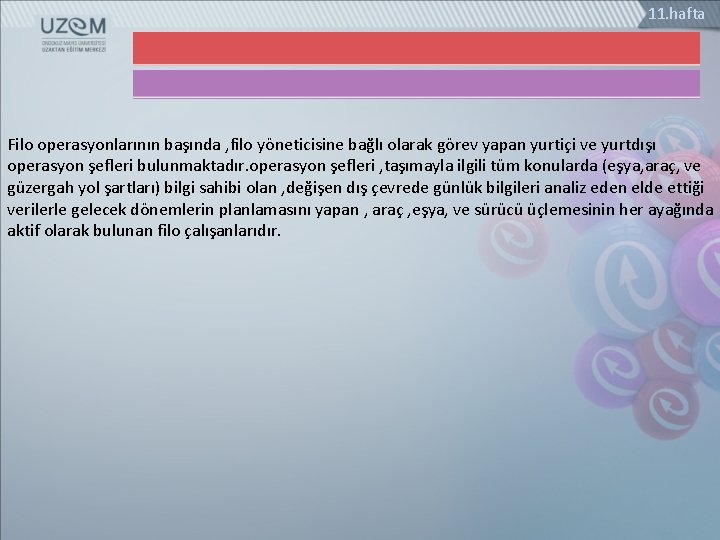 11. hafta Filo operasyonlarının başında , filo yöneticisine bağlı olarak görev yapan yurtiçi ve