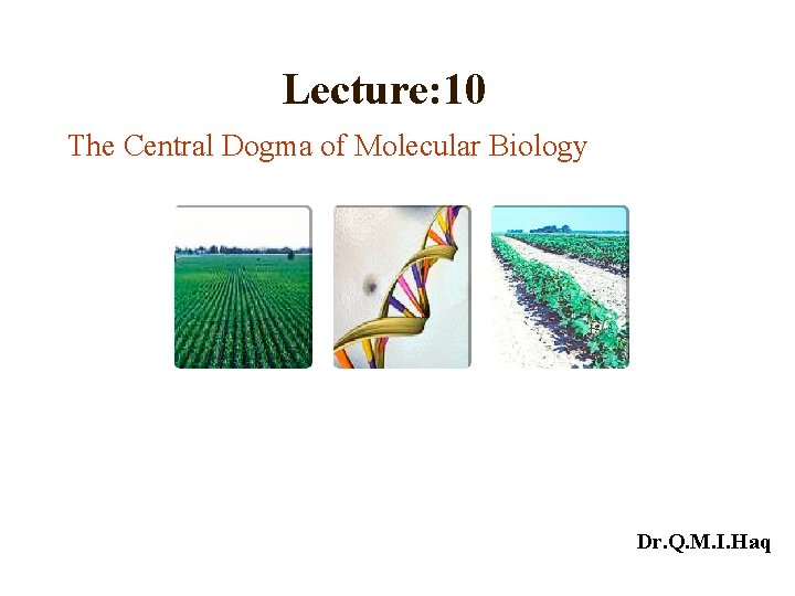 Lecture: 10 The Central Dogma of Molecular Biology Dr. Q. M. I. Haq 