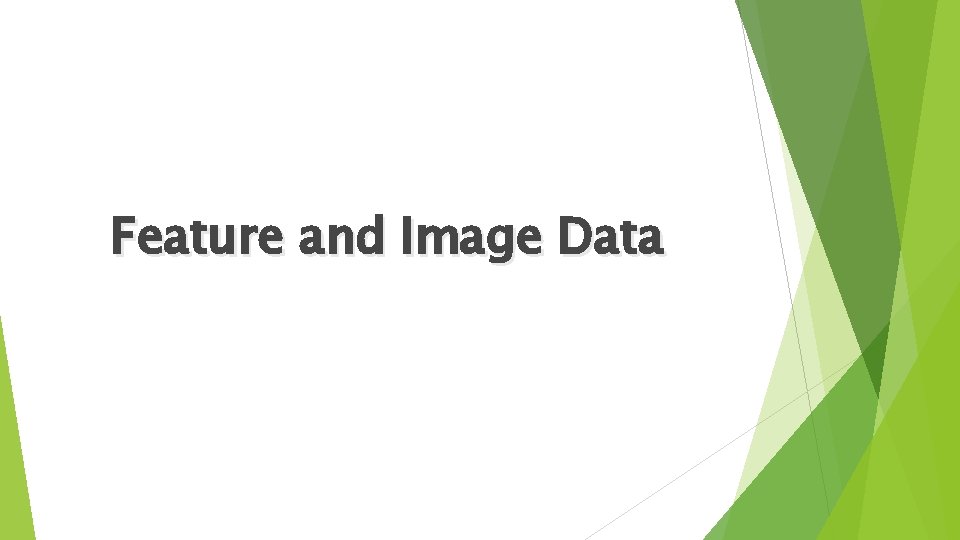Feature and Image Data 