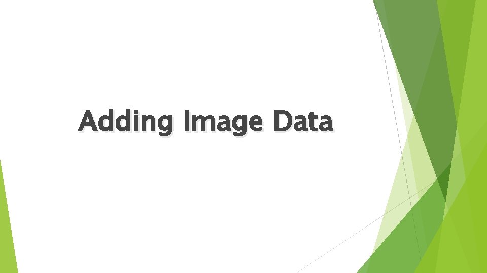 Adding Image Data 