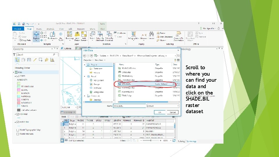 Scroll to where you can find your data and click on the SHADE. BIL