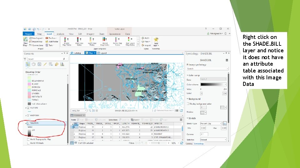 Right click on the SHADE. BILL layer and notice it does not have an
