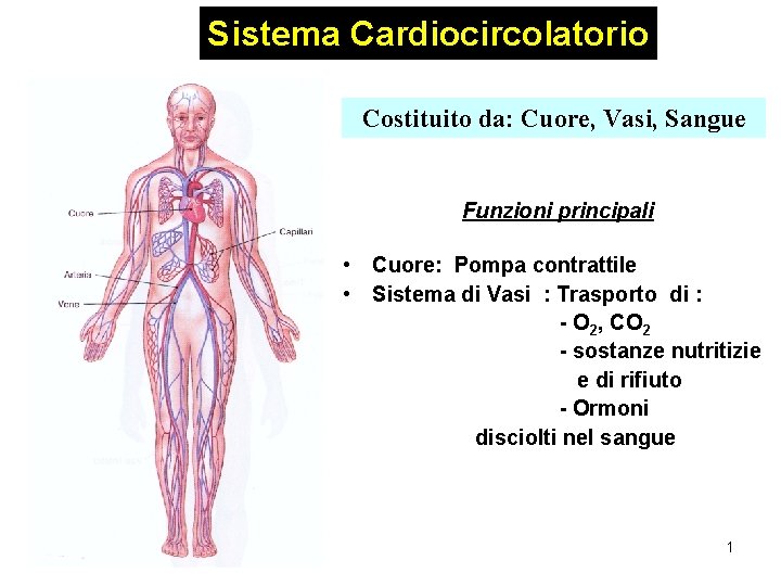 Sistema Cardiocircolatorio Costituito da: Cuore, Vasi, Sangue Funzioni principali • Cuore: Pompa contrattile •