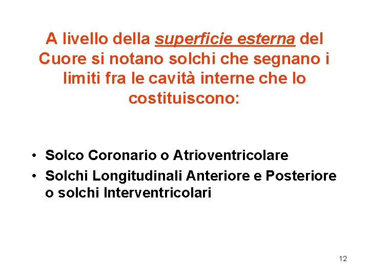 A livello della superficie esterna del Cuore si notano solchi che segnano i limiti