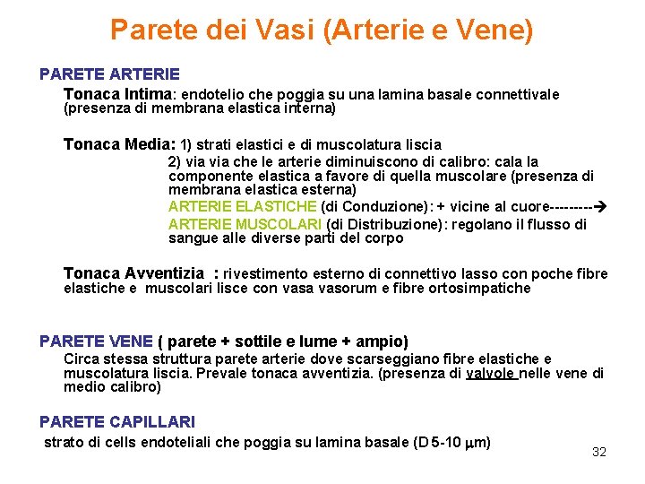 Parete dei Vasi (Arterie e Vene) PARETE ARTERIE Tonaca Intima: endotelio che poggia su