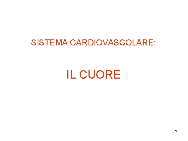 SISTEMA CARDIOVASCOLARE: IL CUORE 5 