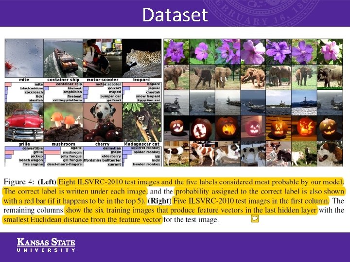 Dataset 